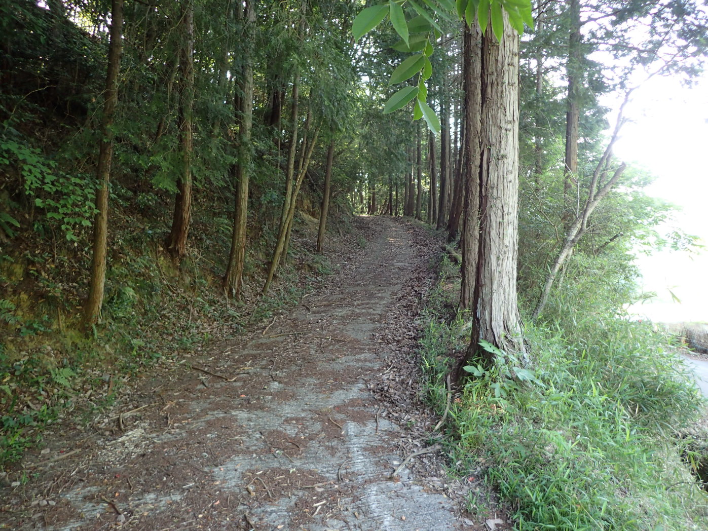 山への進入口