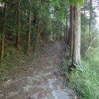 山への進入口