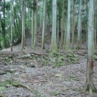 ⑥二の丸から姫の丸方面を見る