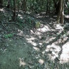 ⑧登城路