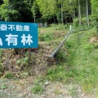 ⑩出口に不動産屋の私有林の看板
