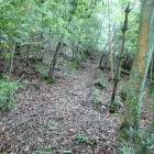 ⑦登城路
