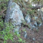 ③登城路(尾根へ)