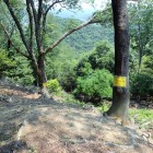 ⑩バイク等の進入禁止の標識