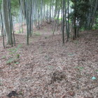 本堂北(背後)の土塁・堀など