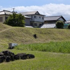 三ノ堀・土塁跡