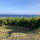 本当海に近い🌊