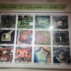 国内外の五稜郭　品川台場や龍岡城もそう言われれば