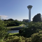 五稜郭公園から見たタワー🗼