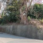 太田城水攻め堤（車道側から）