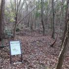 段状の平坦地群