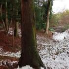 主郭北辺の横堀