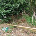 住泉寺西側の土塁（2026/06/21撮影）