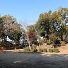 本丸（上の丸公園）
