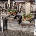 法雲寺・蒲生賢秀公墓と市橋利政公之墓