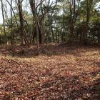 主郭部東端の曲輪。三方を土塁をめぐらせる