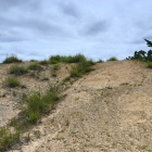 後円部