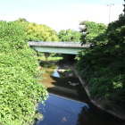 近木川