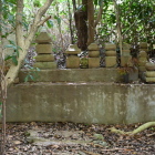 根来八幡