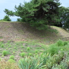 本丸土塁