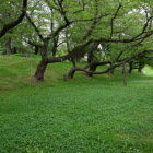 二の丸土塁