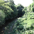 近木川