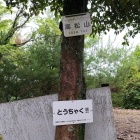 ほっこり