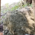 ご指摘部分の拡大