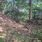 二重堀切の１条
