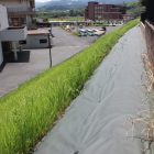二の丸東端の崖土手法面