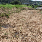 主郭南側の水堀と土塁