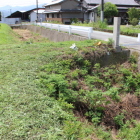 土橋を北より