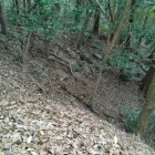 登り石垣跡