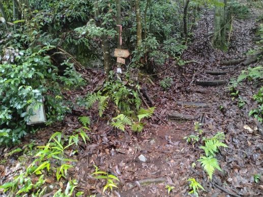 清水谷に入ってすぐの登城口　地蔵院ルート