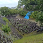 北大手門土橋から東側堀