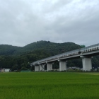 南側から