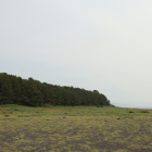 ここから富士山が見えるはず･･･