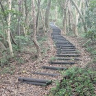 山頂部へ