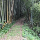 大土塁背後の堀切