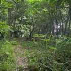 小十神山頂部