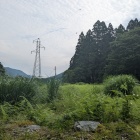 曲輪跡と思われる削平地