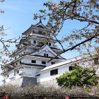 ④	唐津城（安田国継や三宅藤兵衛が仕えた城）