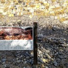 ⑥	富岡城（藤兵衛が築いた石垣に天草一揆でついた焼け跡）