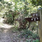 ⑤	脇道へ（展望台へ50ｍの入口）