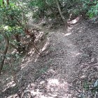 ②	久松山から太閤ヶ平への道