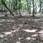 ④	方形内部（ここに秀吉の館があった）