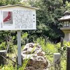 ⑥	旗立松