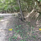③	方形を囲む土塁と堀（5ｍ程の土塁と堀が二重にあった）