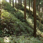 本丸北西下の畝状竪堀群