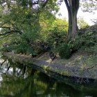 三の丸　出桝